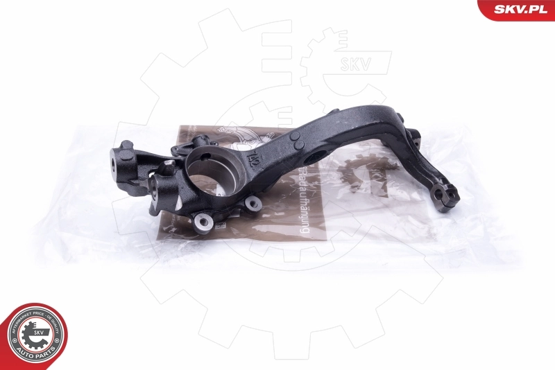 Steering Knuckle, wheel suspension